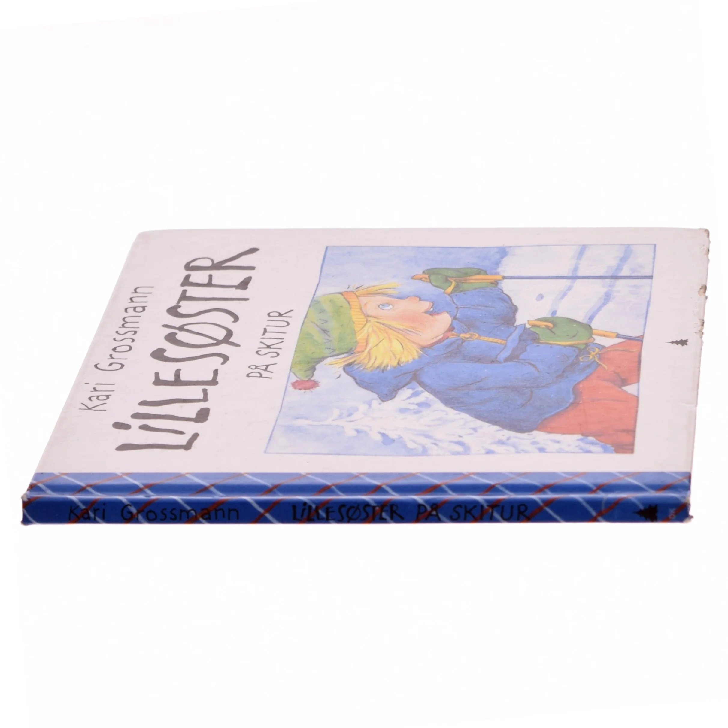 Lillesøster på skitur af Kari Grossmann (Bog)