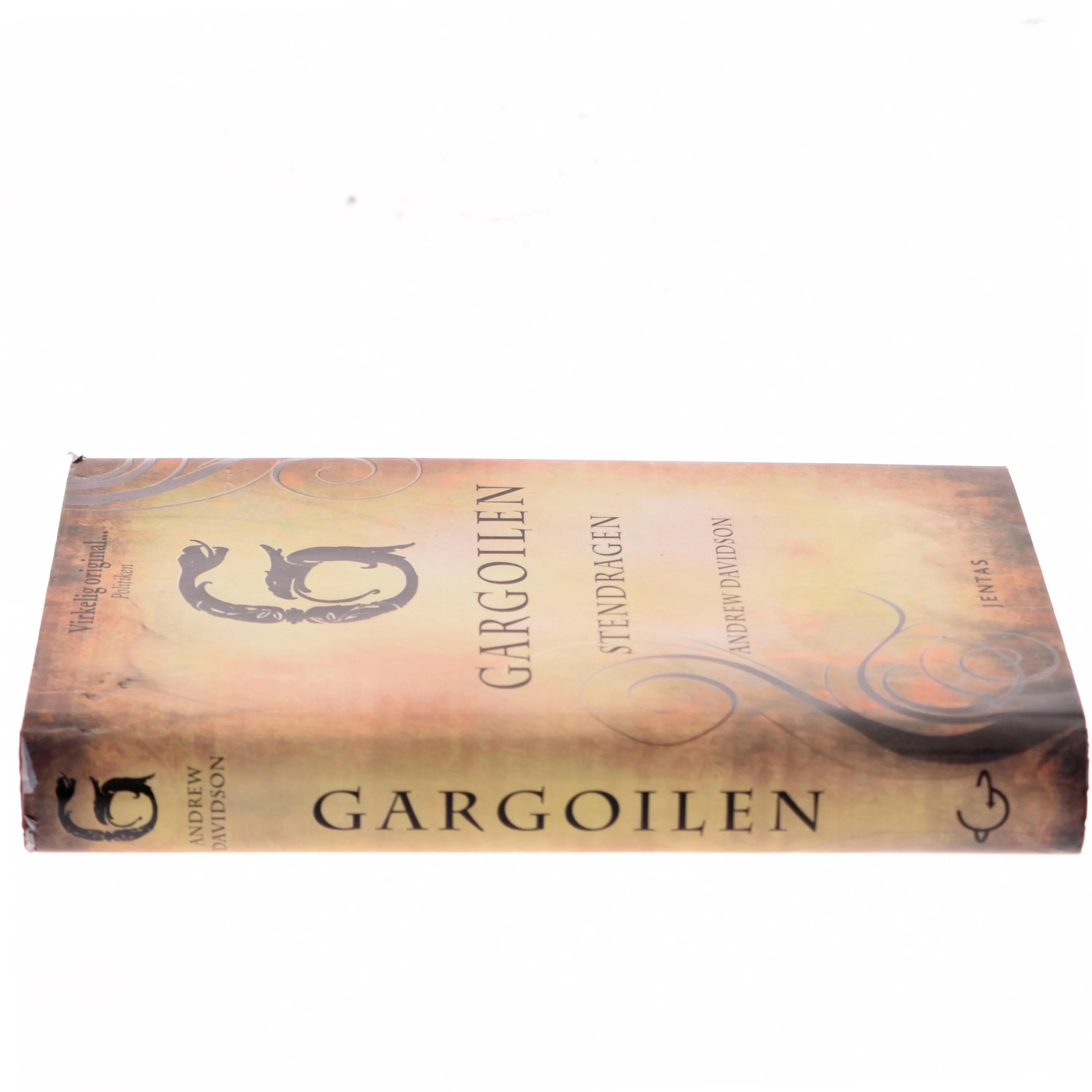 Gargoilen : stendragen af Andrew Davidson (Bog)