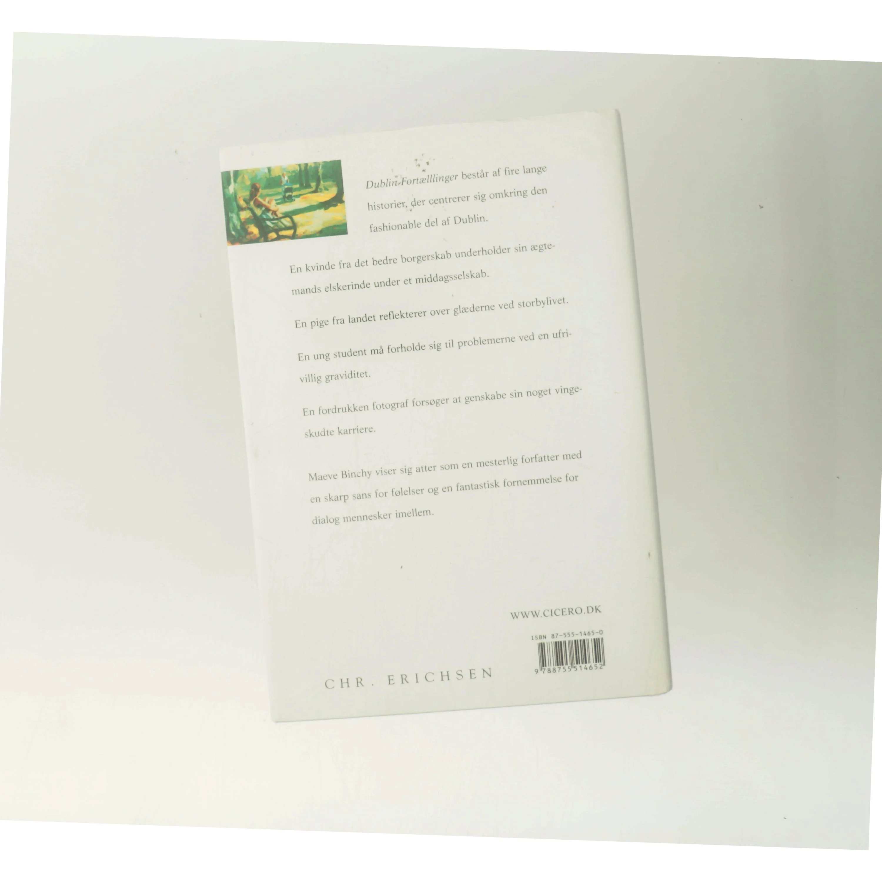 Dublin fortællinger af Maeve Binchy (Bog)