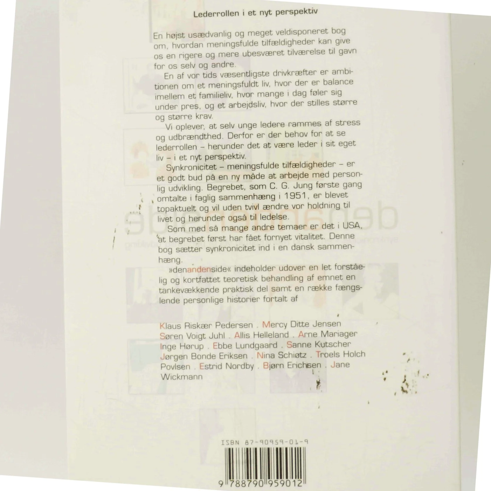 Den anden side : synkronicitet - en ny og meningsfuld vej til personlig udvikling (Bog)