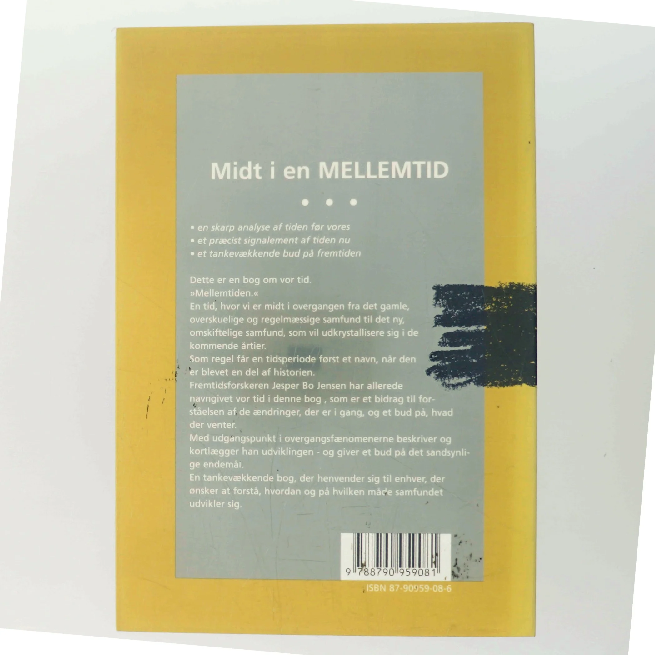 Midt i en mellemtid : i overgangen fra det gamle til det nye samfund af Jesper Bo Jensen (f. 1959) (Bog)