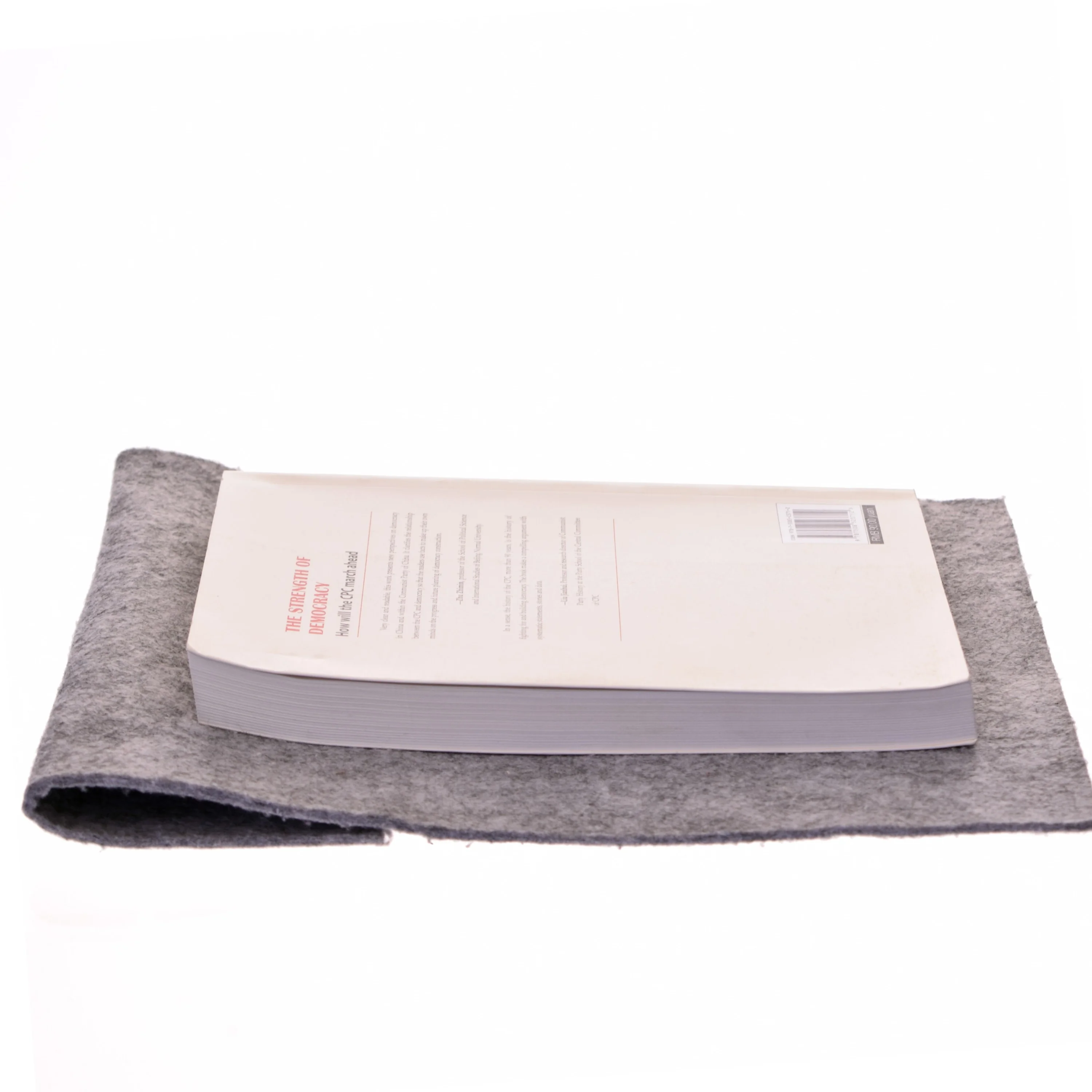 The Strength of Democracy af 林良旗 (Bog)