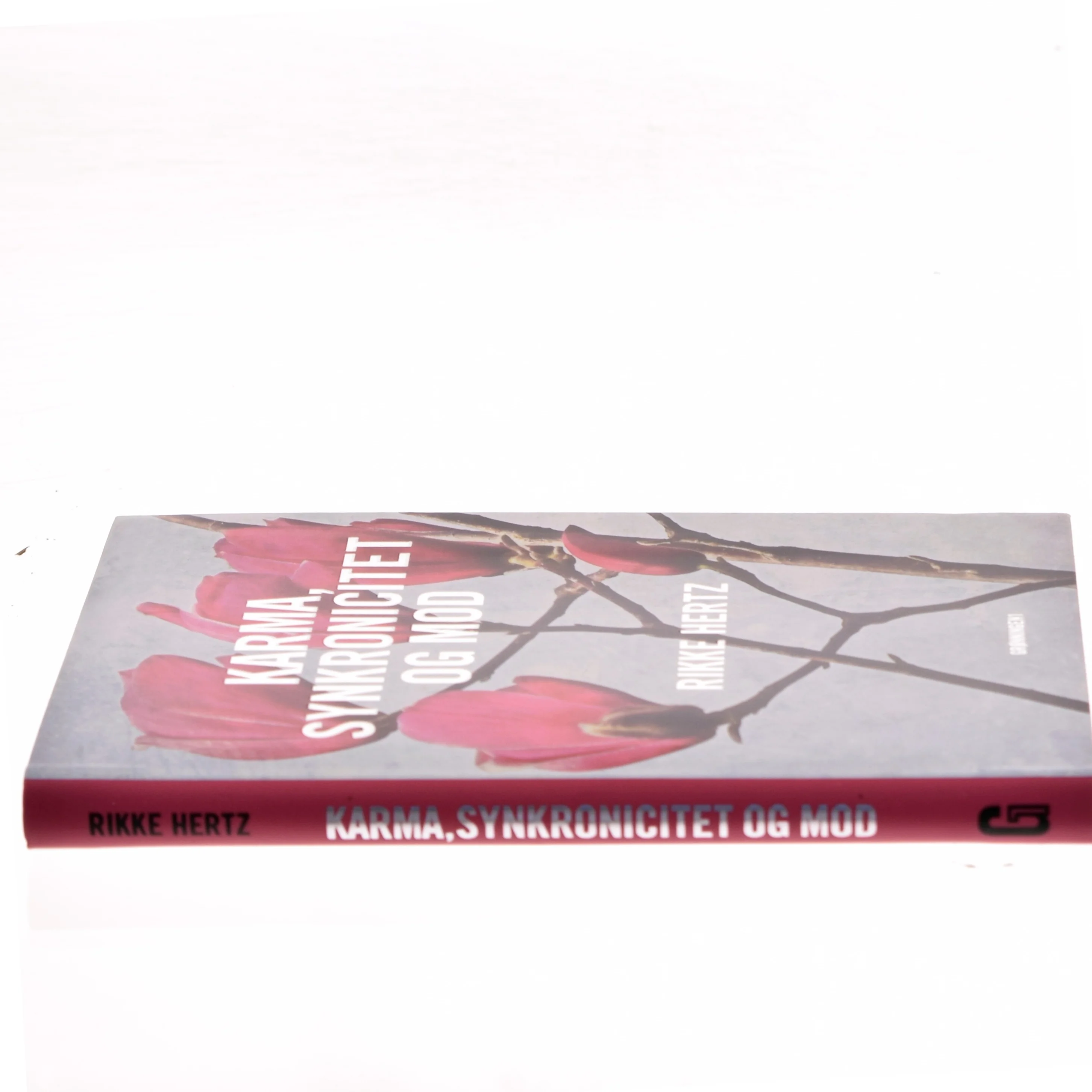 Karma, synkronicitet og mod af Rikke Hertz (Bog)