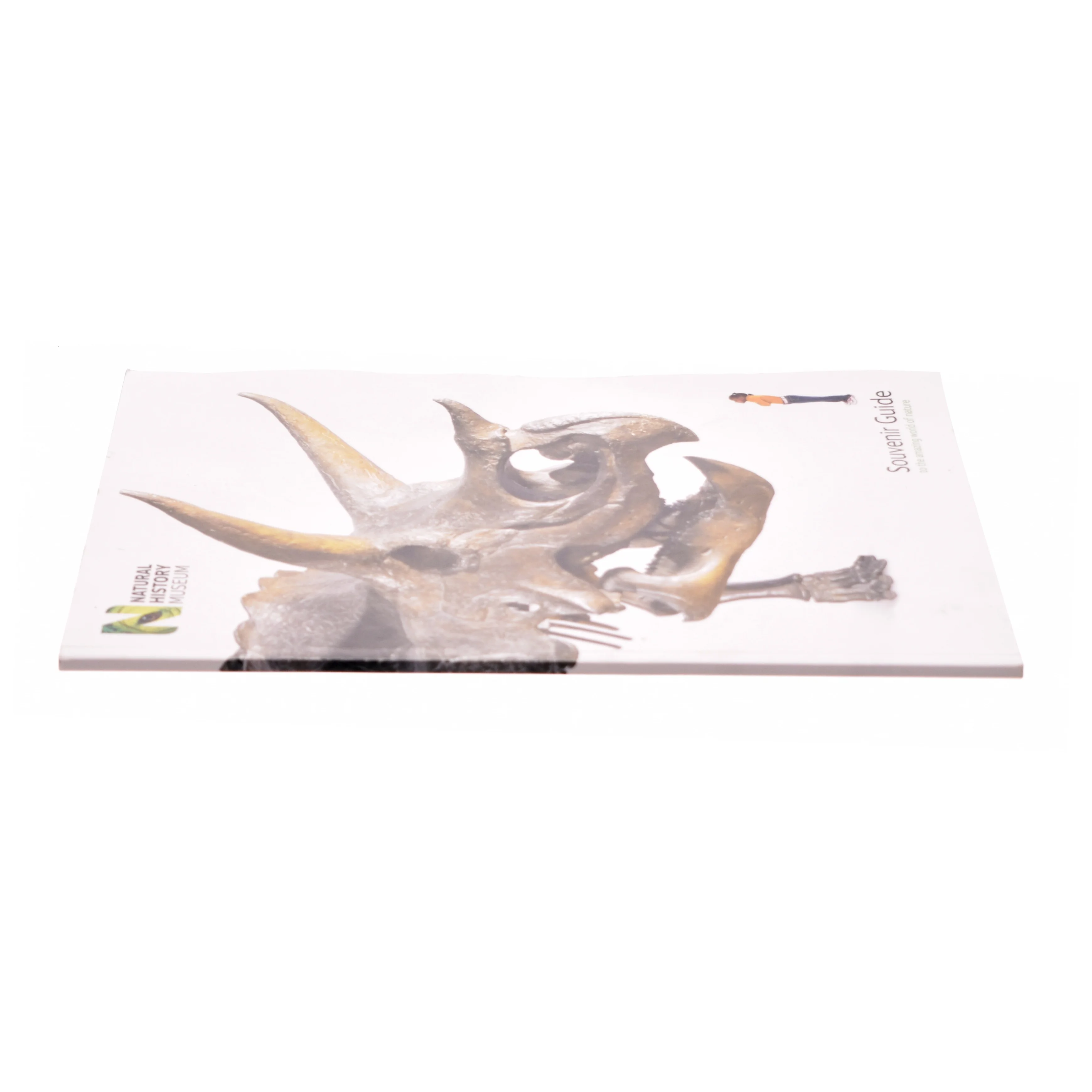 national history museum