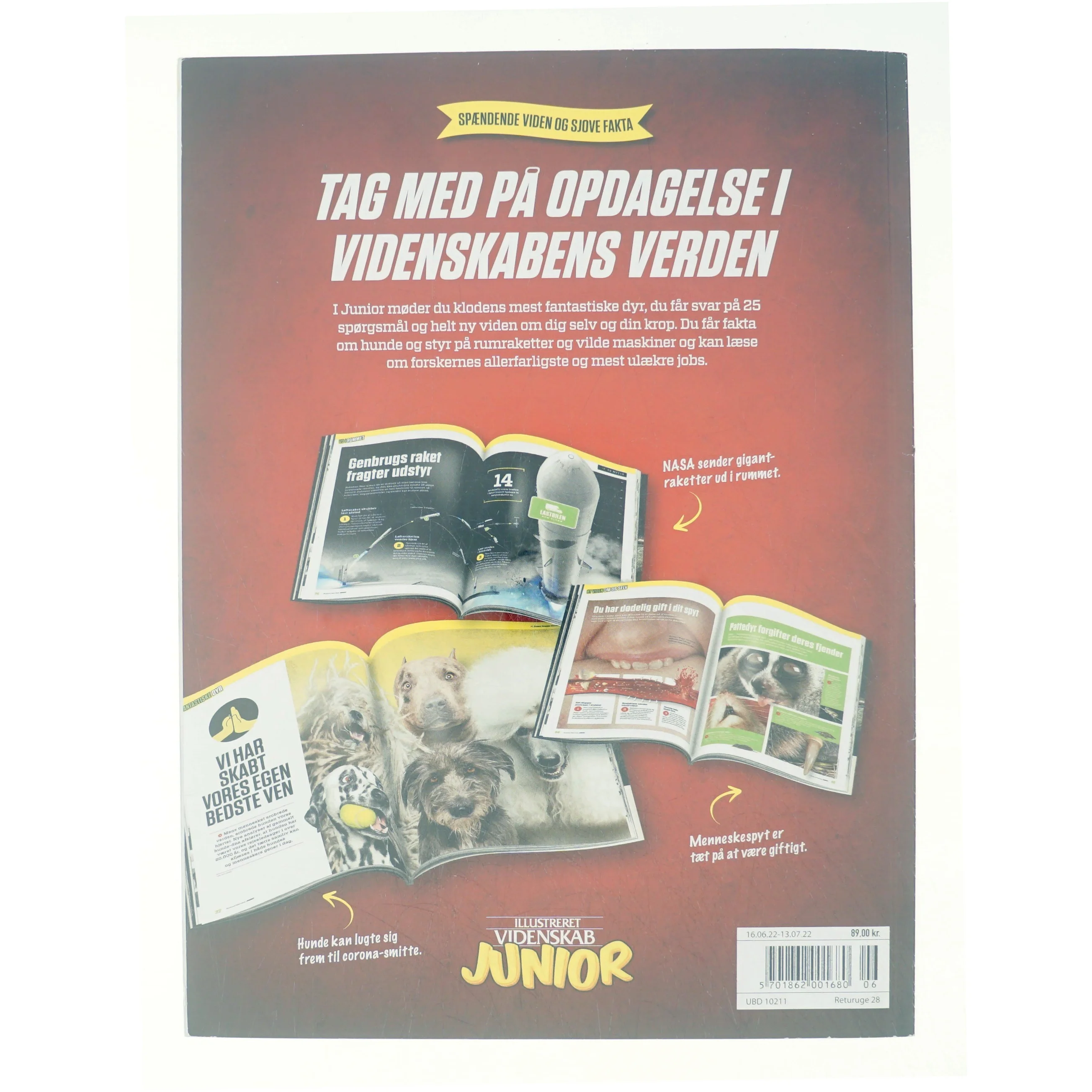 Illustreret videnskab junior