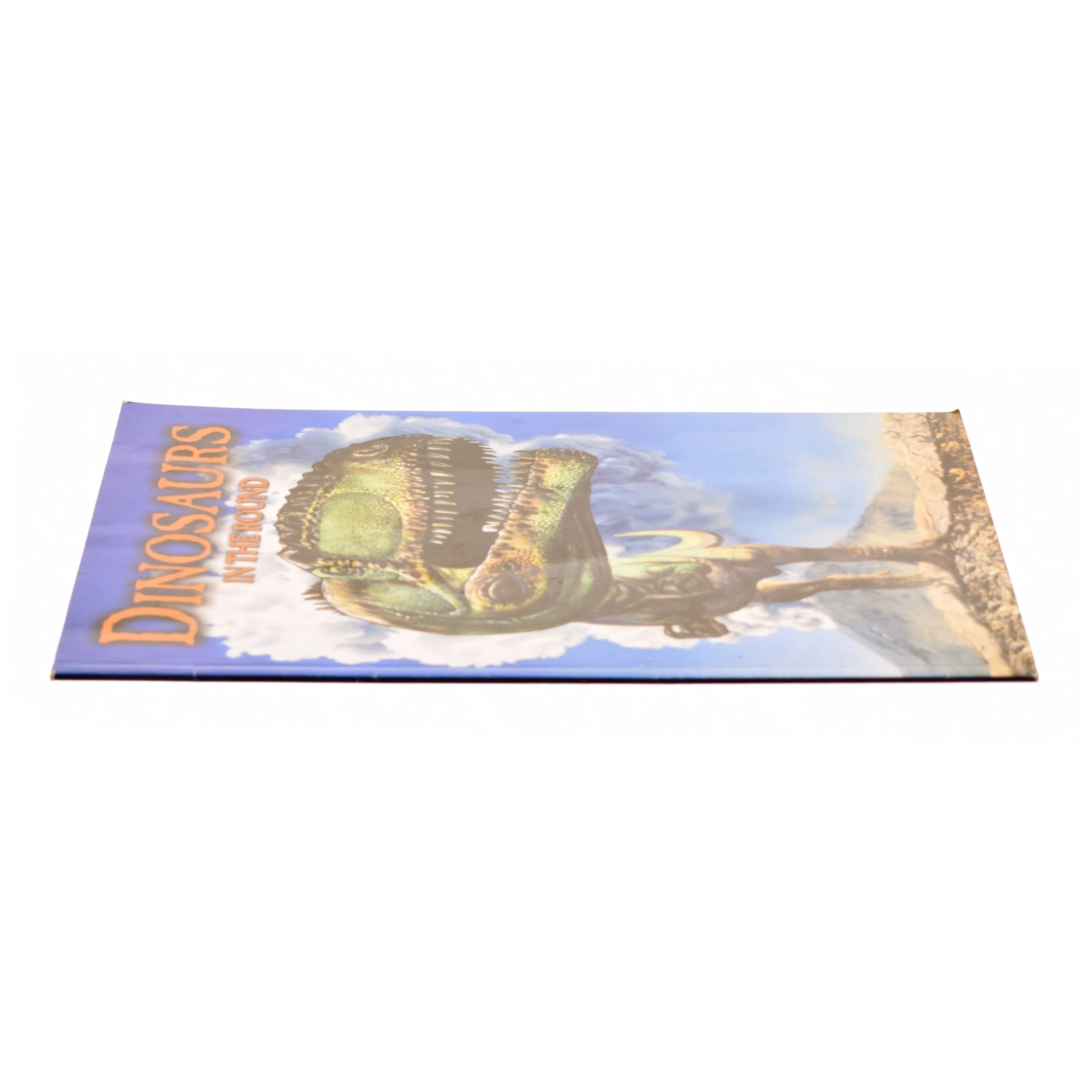 Dinosaurs in the Round af Jen Green (Bog)