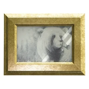 Indrammet billede med bjørn (str. 21x16 cm)