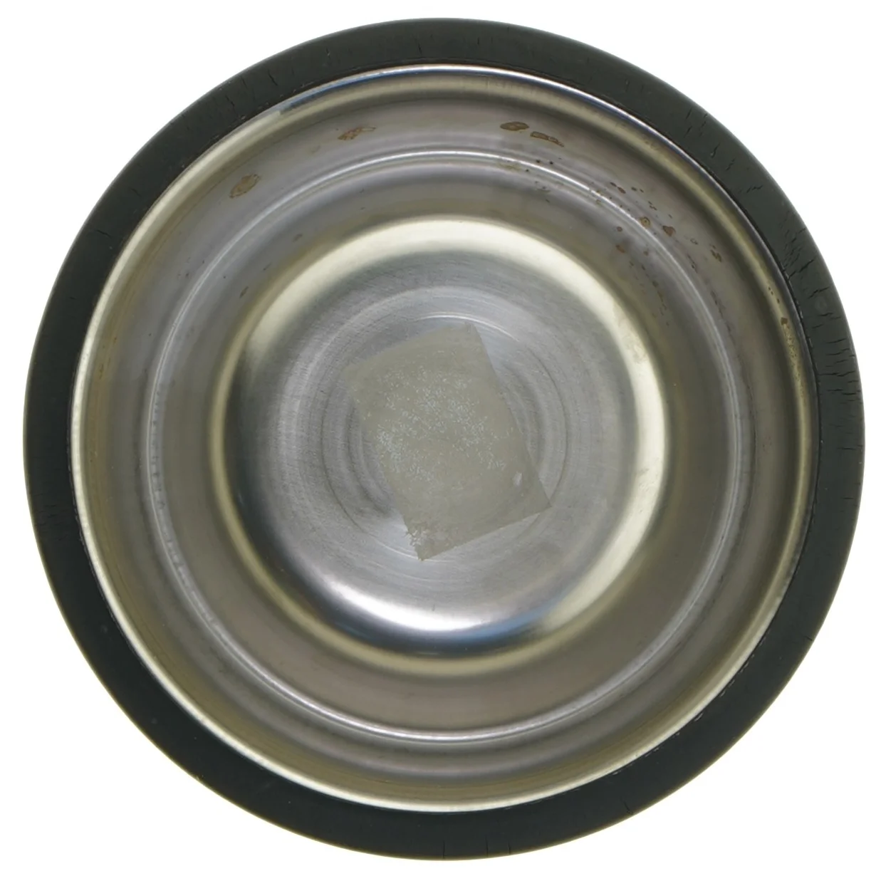 Rustfri stålfoderskål til kæledyr (str. Ø 15 cm)