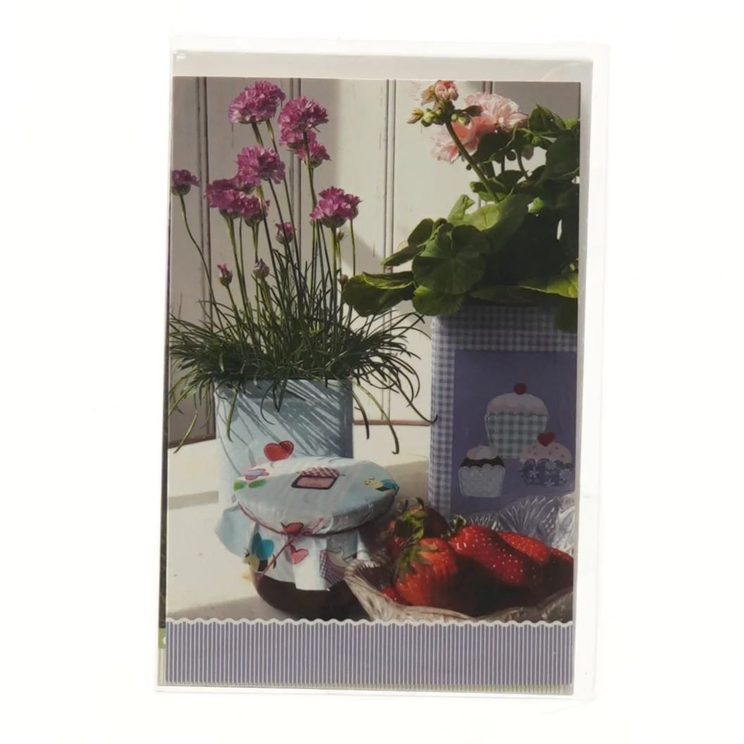 Foto kort sæt med kuverter (str. 12 stk 18x12 cm)