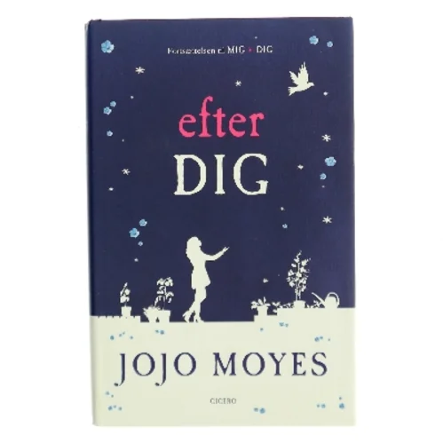 Efter dig (After You)