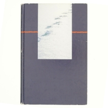 Frøken Smillas fornemmelse for sne