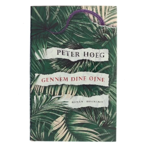 Gennem dine øjne